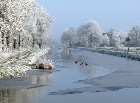Die Süderwieke im Winterkleid - noch haben die Enten im November Platz zum Schwimmen…